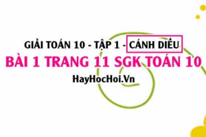 Giải bài 1 trang 11 Toán 10 tập 1 SGK Cánh Diều